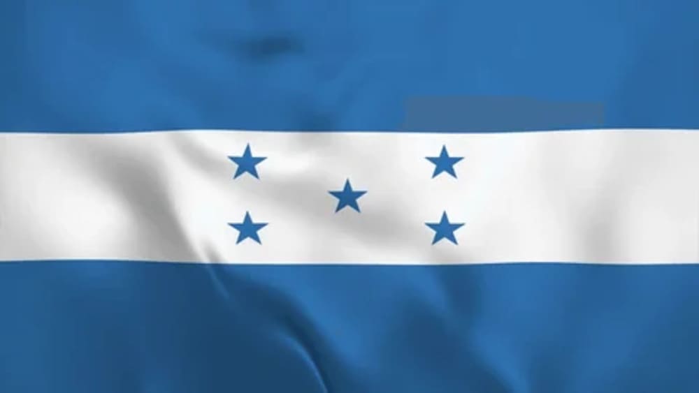 Civil society organizations call on the US amid growing electoral tensions in Honduras